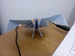 We did not find results for: 63 Gambar Burung Elang Dari Kertas Karton Hd Terbaru Gambar Hewan