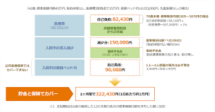 がん保険 比較 見積もり あなたの保険選びをサポート 価格 Com