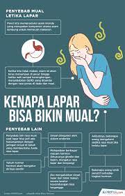 Fakta populer 8.069 views2 year ago. Infografik Misteri Tubuh Manusia Kenapa Lapar Bisa Bikin Mual