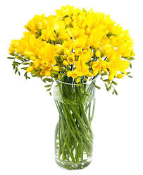 Alternatively, you can contact royal mail uk by sending them an email at email protected. Yellow Freesias Flowers By Flourish Send Freesia Nationwide