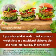 It is advisable to discuss any new changes these professionals can help someone plan their meals to make sure that they get sufficient essential nutrients while also balancing their blood sugar. Plant Based Diets Best For Weight Loss And Diabetes