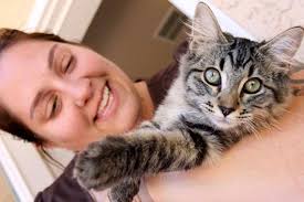 What are the symptoms of liver tumors in cats and dogs? Fatty Liver Disease In Cats Best Friends Animal Society