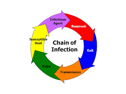 The Infectious Disease Model The Chain Of Infection Helps To