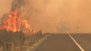 Simply put your list in alphabetical order. Oregon Replaces State Fire Marshal Wildfire Death Toll Grows To 22 On West Coast Abc News