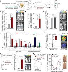 Pin On Aacr 2018 Interesting