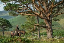 Ragnar And His Baby | Vikings Actors, Ragnar Lothbrok Vikings, Vikings  Ragnar