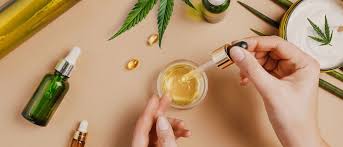 How to Choose the Best CBD Wholesale Partner | Sttark