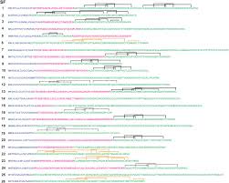 structural venomics evolution of a complex chemical arsenal