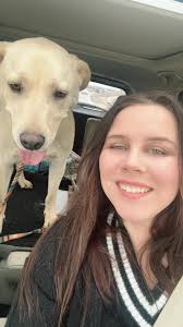 Puzzle games with the pups! ❤️