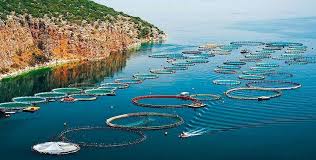 Το βασίλειο της δανίας ή δανιμαρκία ή απλά δανία είναι μια χώρα που βρίσκεται στη σκανδιναβία, στη βόρεια ευρώπη. Dania Periorizei Tis Ix8yokalliergeies Dioti Epibarynoyn To Periballon Proionta Ths Fyshs