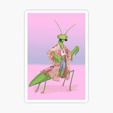 Paying Mantis Gifts & Merchandise for Sale | Redbubble