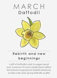 March Birth Flower Daffodil Horoscope Zodiac Astrology Birth Flower Tattoos Birth Flowers Birth Flower Tattoo