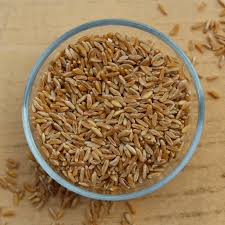 We did not find results for: Important Details In Marketing Kamut Organic Market Info