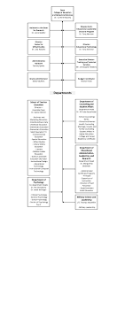 Organization Chart Cebs Wku Western Kentucky University