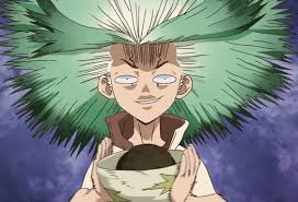 Dr Stone Static Senku In 2020 Anime Stone Stone World