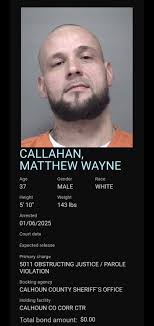 MATTHEW WAYNE CALLAHAN Charges 5011 OBSTRUCTING JUSTICE