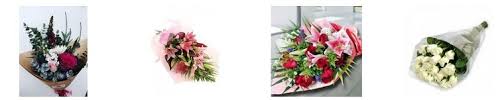 Check spelling or type a new query. The 8 Best Options For Valentines Day Flowers In Melbourne 2021