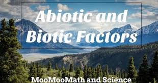 Biotic Factors Found In The Ocean Youtube Abiotic Biotic Biomes