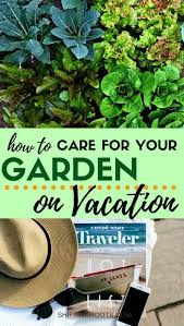 Gardening Jobs London Gumtree Wherever Gardening J Gardeningsupplies Gardening Jobs London Gumtree Wher Gardening For Beginners Aquaponics Gardening Tips