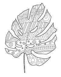 Use this lesson in your classroom, homeschooling curriculum or just as a fun kids activity that you as a parent can do with your child. Monstera Doodling Sheet Coloring Book Stock Vector Illustration Of Flora Nature 156296433