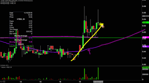 Heat Biologics Inc Htbx Stock Chart Technical Analysis For 11 19 19