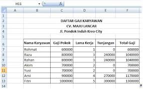 Dalam dunia kerja penggunaan microsoft excel sanggat dominan karena dapat mengolah data dengan baik dan akurat. Contoh Soal Excel Untuk Tes Kerja