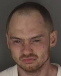 Kansas man jailed for string of auto thefts and burglaries