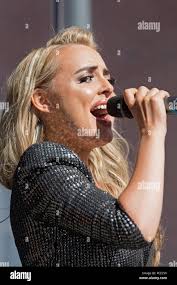 Ellison hi-res stock photography and images