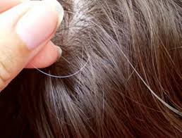 Covering grey hair is tricky business. 6 Terrific Ideas To Hide Gray Hair Naturally Wetellyouhow