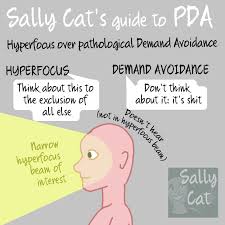 Sally Cat Pda Hyperfocus Over Demand Avoidance