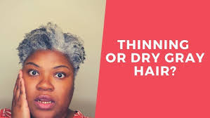 SILVER SISTER INTERVIEW