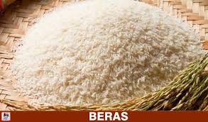 Image result for BERAS NASI