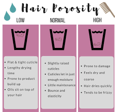 Hair Porosity