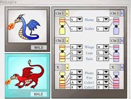 Dragon Genetics Introduces Genotype To Phenotype Relationships Mendel S Peas Demonstrates Principles Of Biology Activity Biology Lessons Genetics Activities