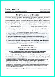 Outstanding Cto Resume For Professionals Resume Jobs Job