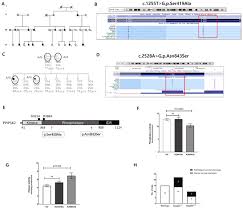 Pe la noi prin teleorman — marin cornea. Update On The Genetics Of Keratoconus Sciencedirect