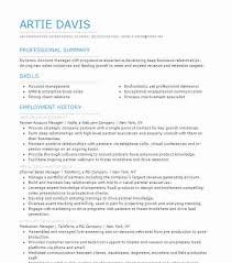This increasingly popular resume format is the most flexible. Channel Sales Manager Resume Example Manager Resumes Livecareer