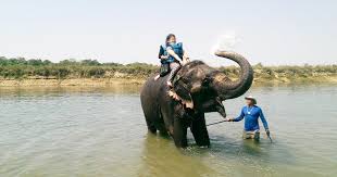 Последние твиты от league of legends: Tourists Choosing Elephant Bathing Over Elephant Riding Unaware Of Cruelty Involved World Animal Protection