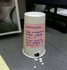 50 Genius April Fools Day Pranks That Will Totally Trick Your Kids April Fools Pranks Best April Fools Best April Fools Pranks