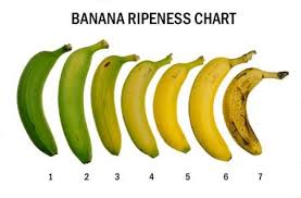 Banana Color Chart Taste Of Banana The Taste Of Bananas