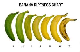 banana color chart taste of banana the taste of bananas