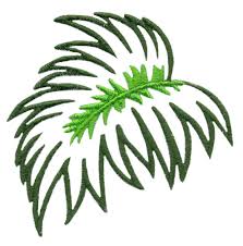 Palm sunday leaf coloring page. Coloring Pages Tropical Leaf Coloring Page