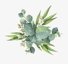 Watercolor Green Leaves Watercolor Clipart Green Leaf Green Png Transparent Clipart Image And Psd File For Free Download Flor Aquarela Aquarela Floral Como Fazer Aquarela