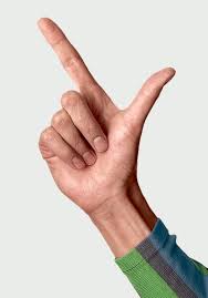 The index finger is placed on the tympanic and squamous part of the temporal bone and points the index and middle finger cmc joints are stable as a result of the articular relationships with the. A Quick Guide To Hand Gestures Of The World Science The Guardian