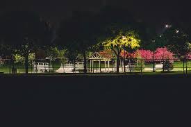 Visit the city of montreal's website to consult the ice rink conditions before your visit. Jarry Park 1080p 2k 4k 5k Hd Wallpapers Free Download Wallpaper Flare