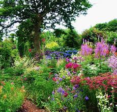 With the home designer software, you can create a fence for a variety of landscapes and spaces, ranging from larger fences for the entire property to smaller. Poppy Cottage Garden Ideas For Corner Butterfly Garden With Picket Fence Garden Fence Types And Models O Cottage Garden Garden Pictures British Garden