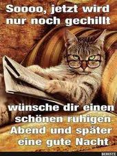 Beste Bilder Videos Und Spruche Und Es Gibt Taglich Neue Lustige Facebook Spruche Mit Bildern Lustige Bilder Von Tieren Lustige Bilder Lustig