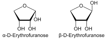 Es ist dem ringsauerstoff von zuckern benachbart.12 Anomer