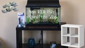 Ikea Expedit With Aquarium Google Search Unterschrank Ikea Unterschrank Dekorationsideen