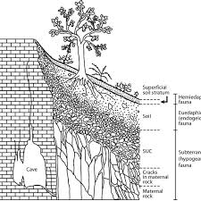 24x55 large macramé wall hanging/ large woven wall | etsy. Structural Scheme Of Superficial Underground Compartment Download Scientific Diagram